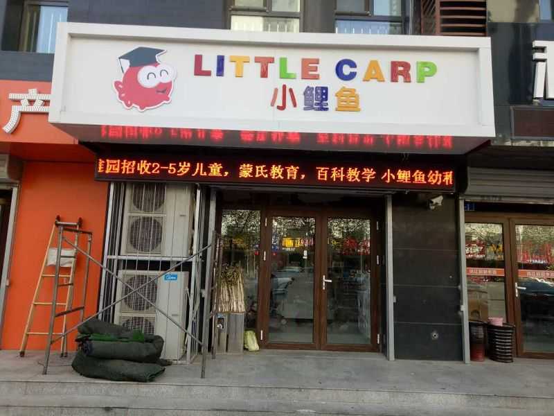 小鯉魚連鎖教育P10戶外單紅